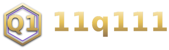 11q111 logo
